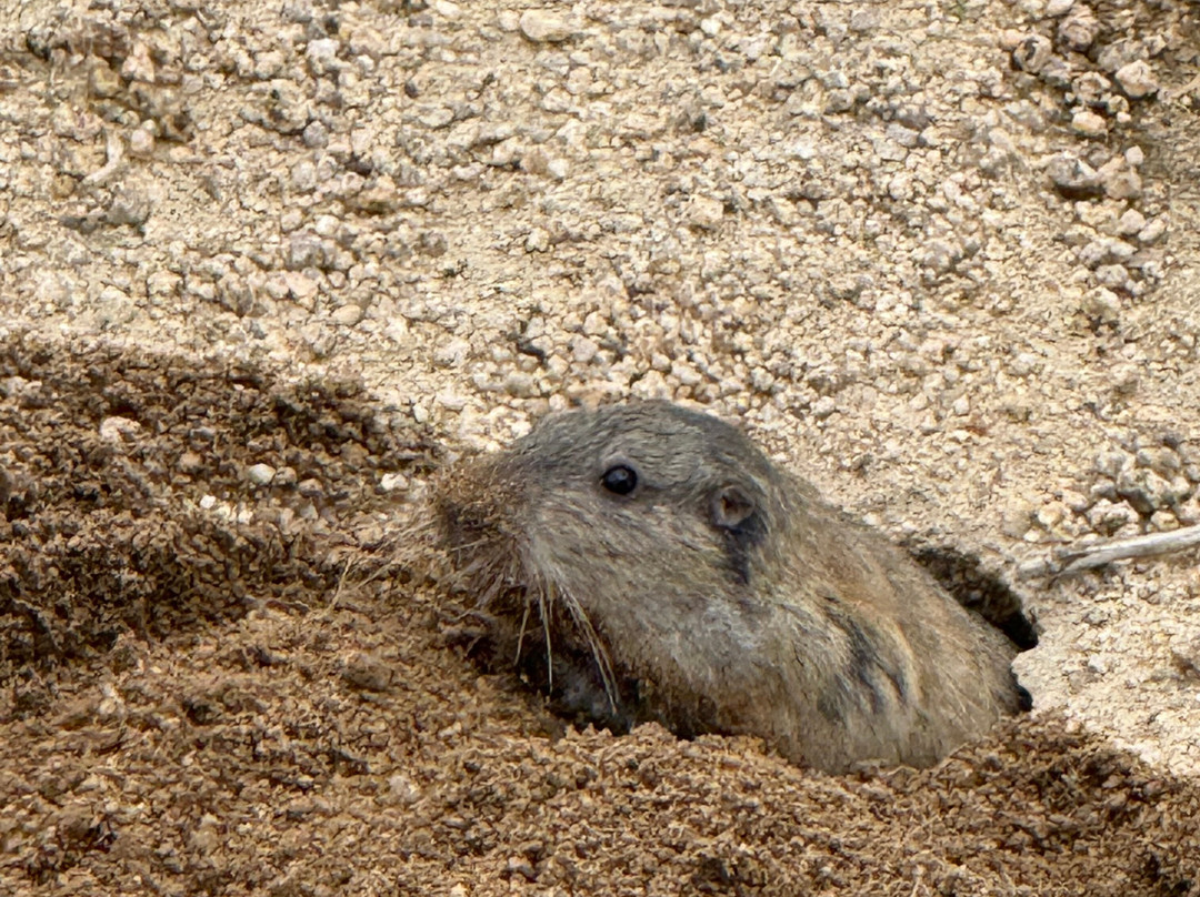 隐身谷-约书亚树国家公园必去景点