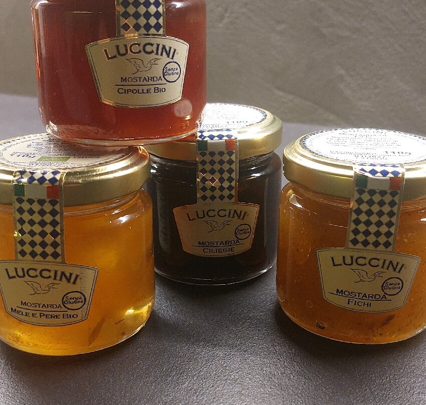 Luccini - La Cicogna