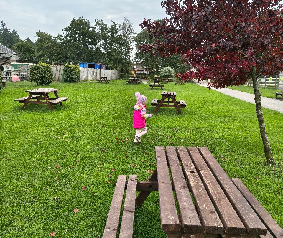 Matlock Farm Park-马特洛克必去景点