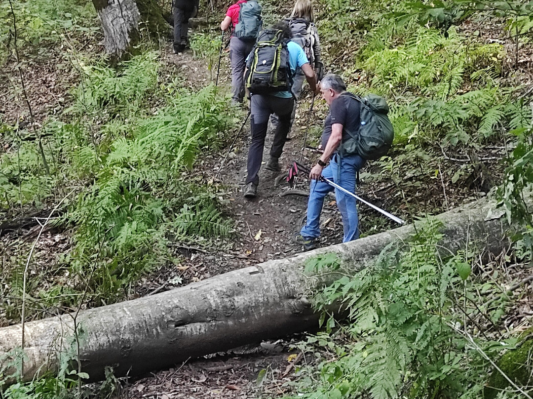 Top Guides Bulgaria-索非亚必去景点