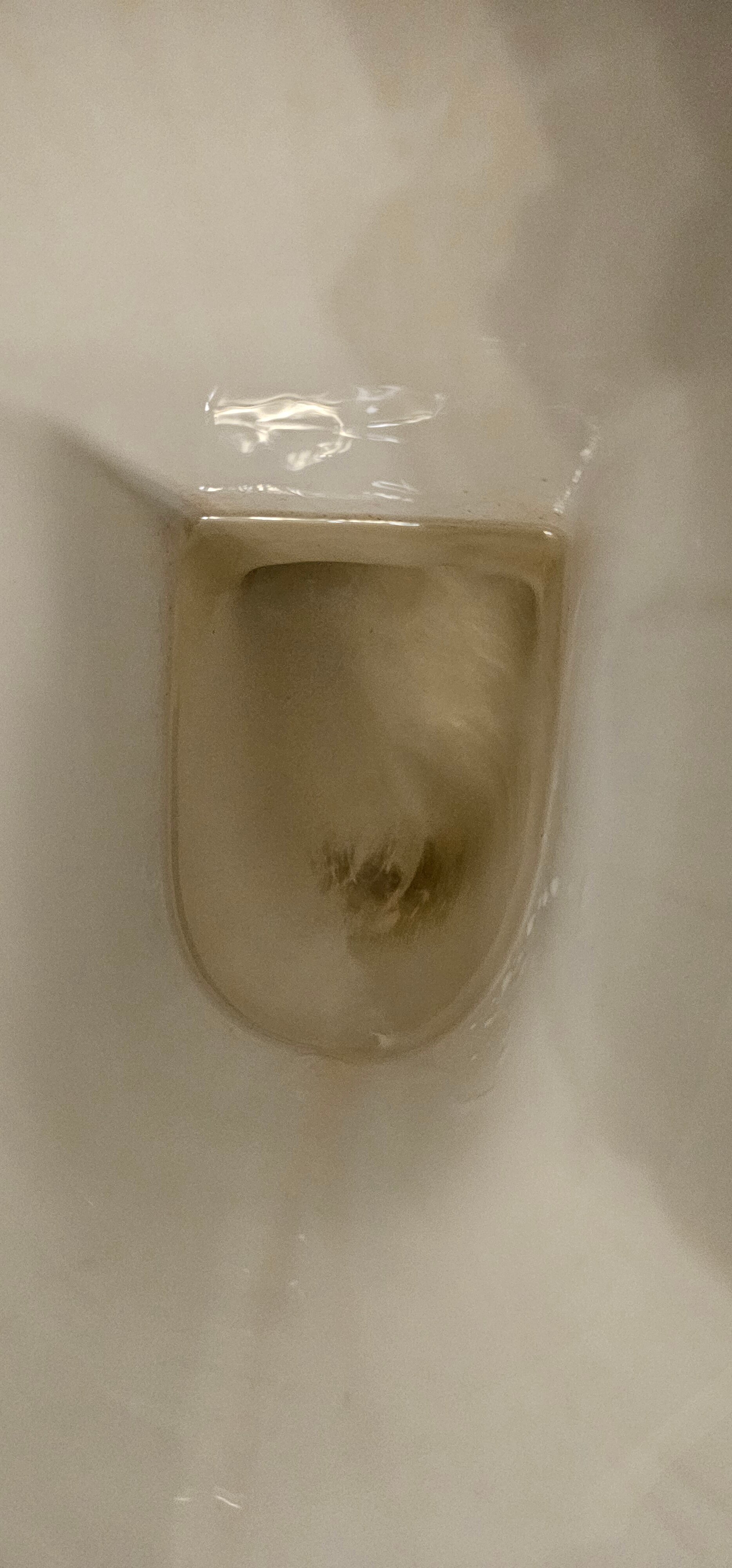 战车海滩度假村-官方