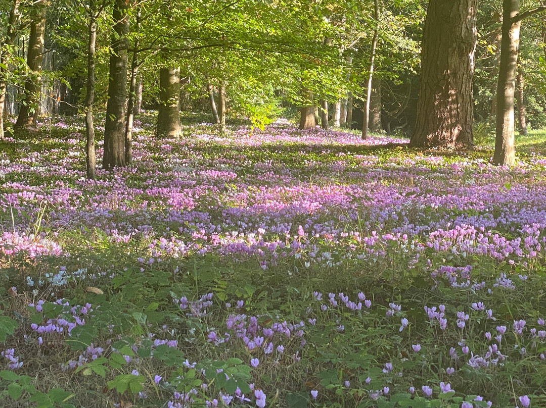 Parc Chantore