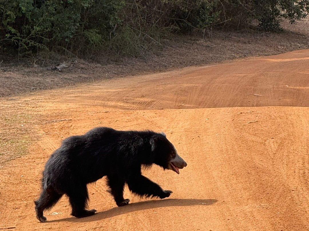 Travel  to Sri Lanka-Mirigama必去景点