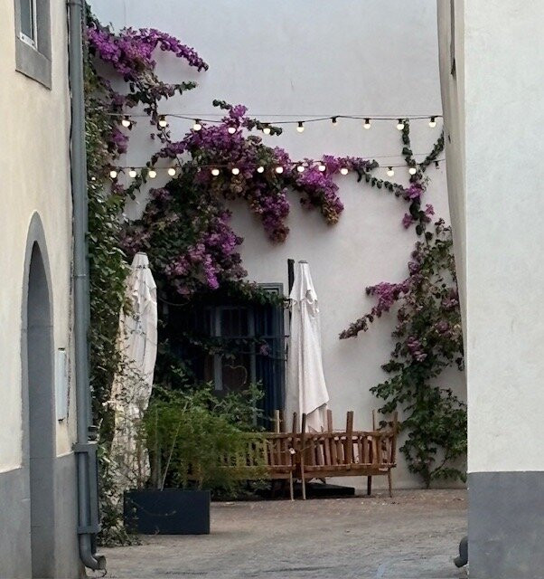 Hotel, B&B Rue Galilee主图