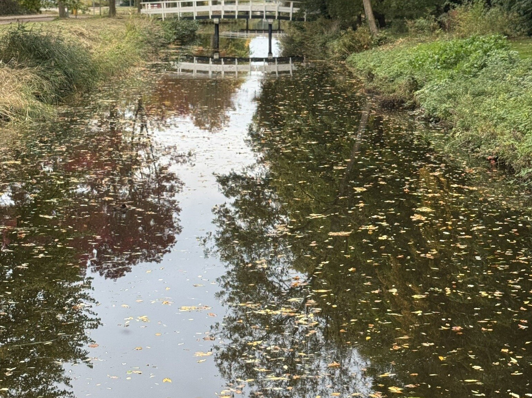 Kinderboerderij De Boerenzwaluw-霍夫多普必去景点