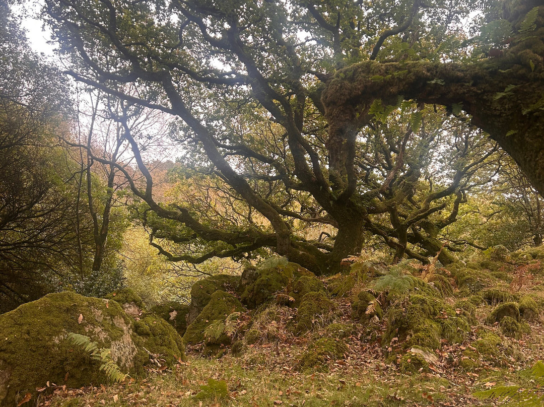 Forage Pembrokeshire-哈弗福韦斯特必去景点