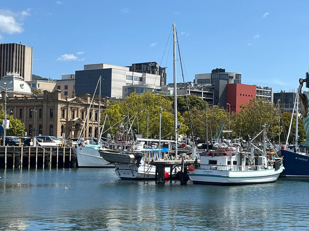 宪法码头-霍巴特必去景点