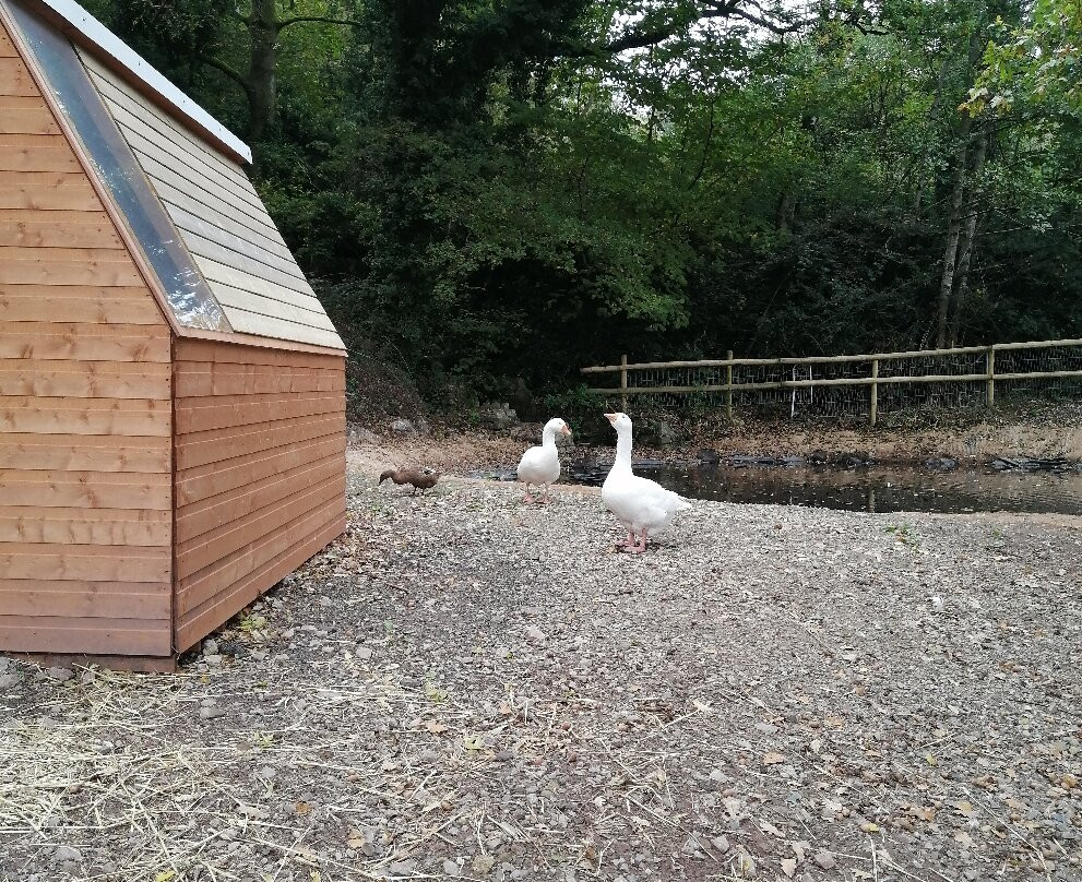 Greenmeadow Community Farm-Cwmbran必去景点