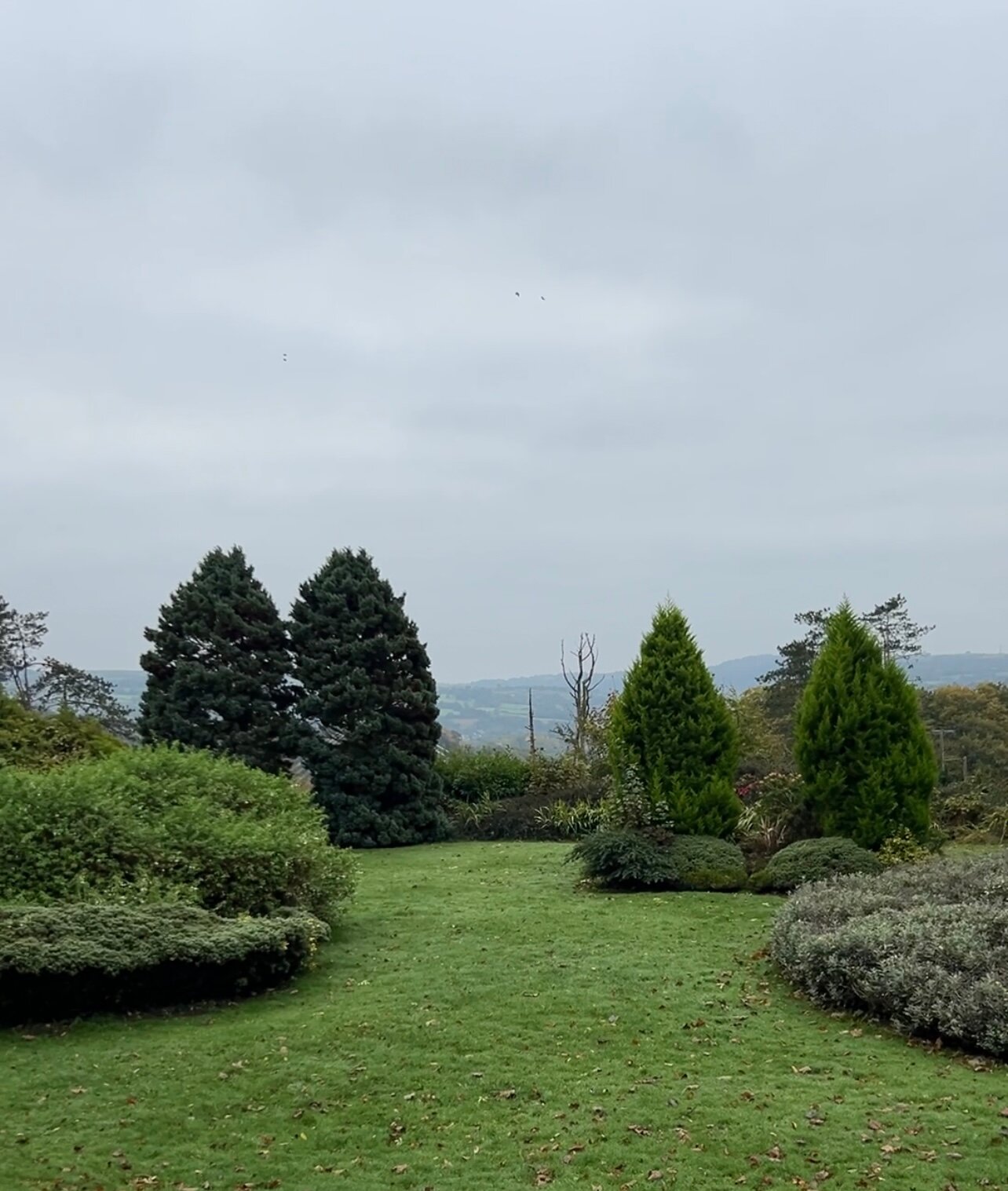 Maes Manor Hotel-官方