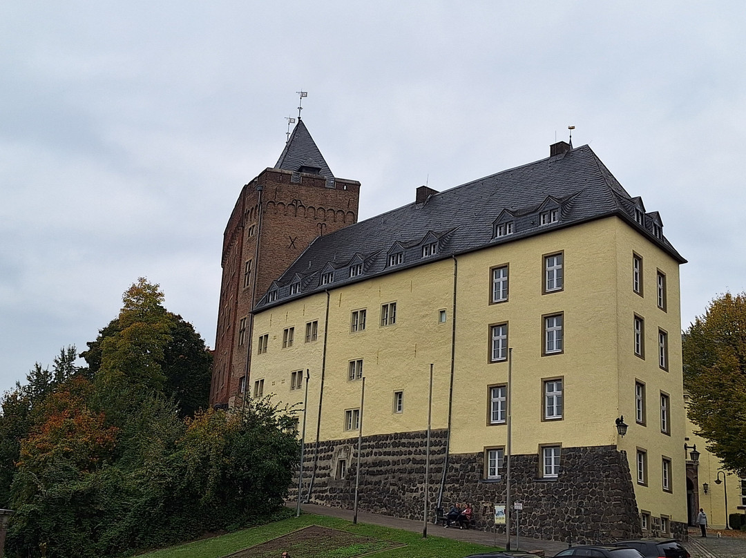 De Witte Molen主图