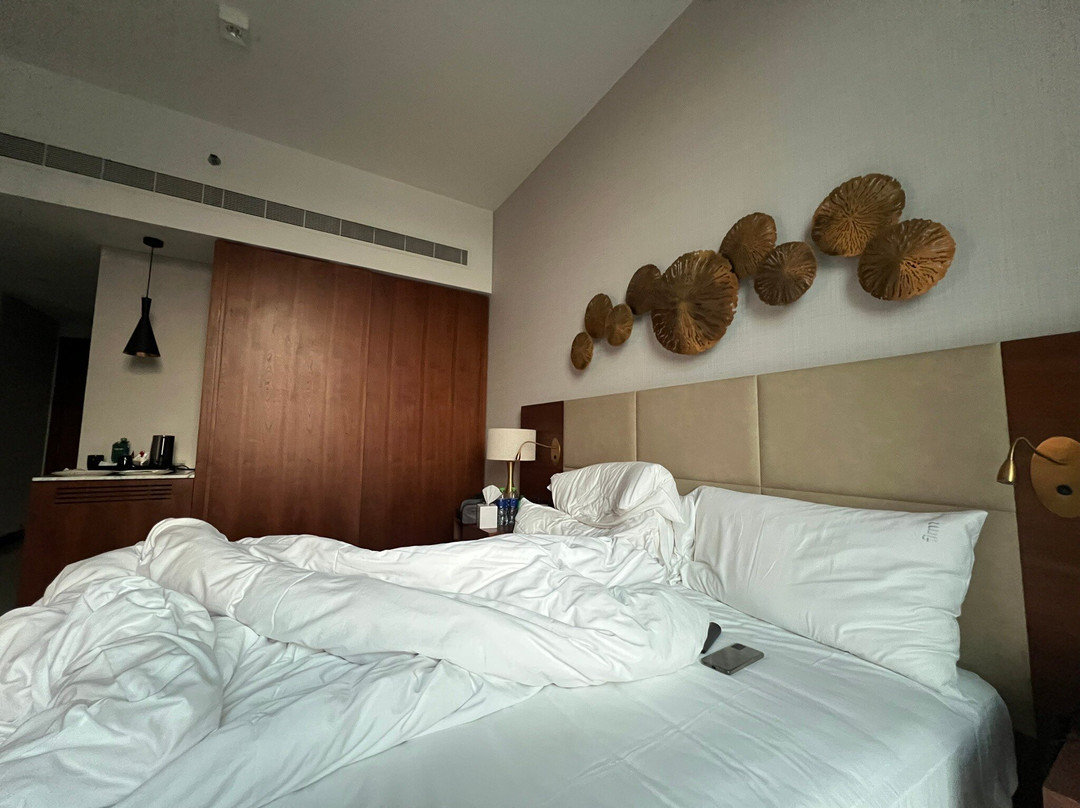 Holiday Inn Dubai Al-Maktoum Airport by IHG主图