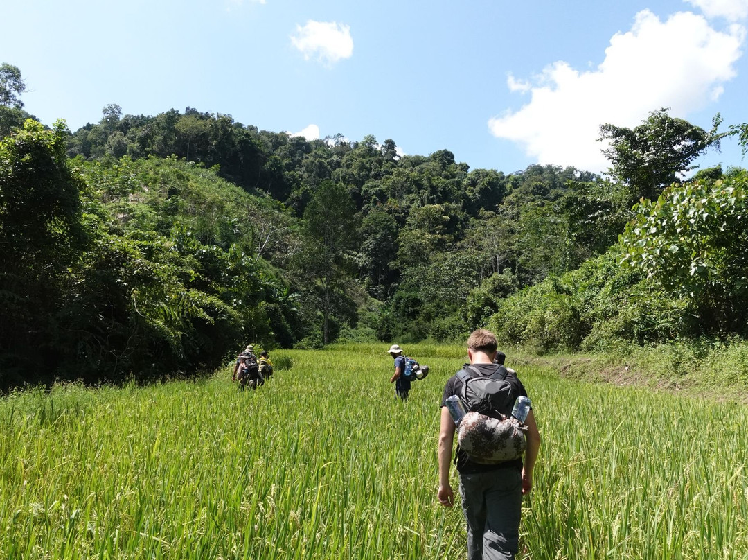 Into the Wild Laos-琅南塔必去景点
