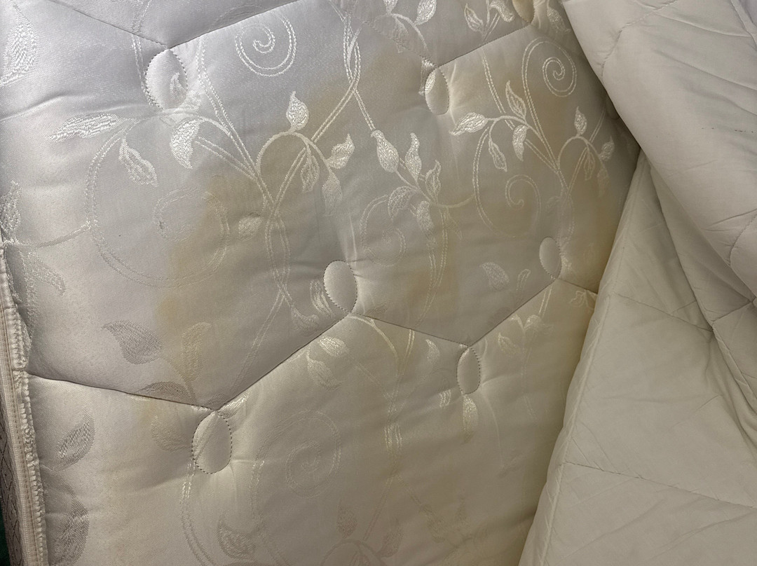 Embassy Suites by Hilton Corpus Christi主图