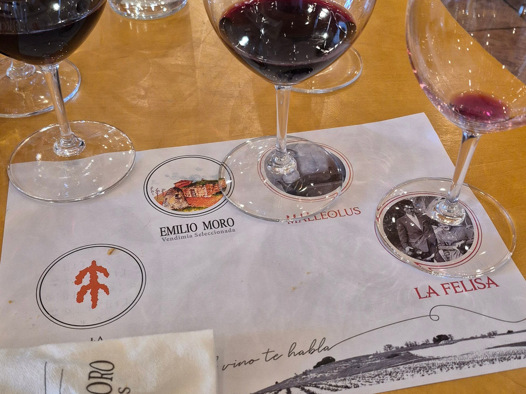 Bodegas Emilio Moro-Pesquera de Duero必去景点