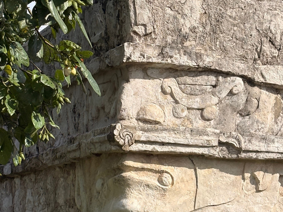 ToursCancun.org-墨西哥城必去景点