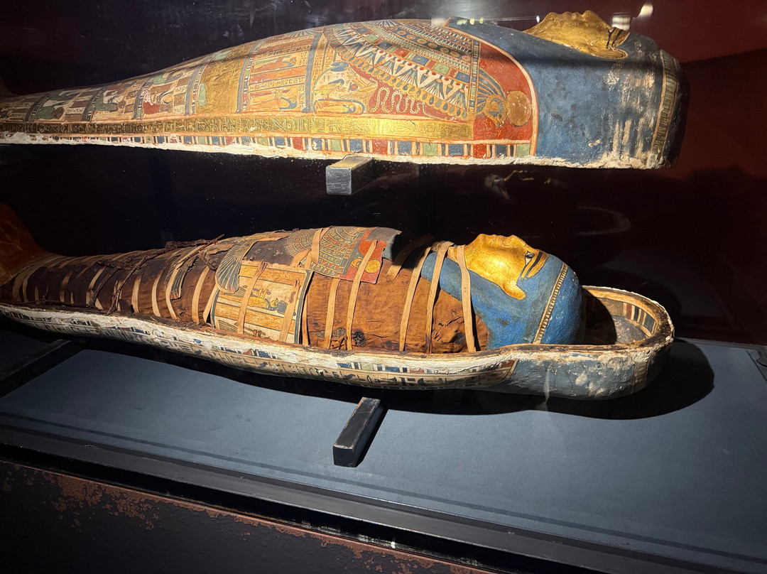 Alexandria National Museum-亚历山大必去景点