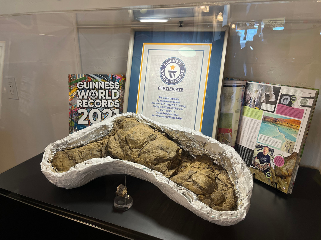 Poozeum-威廉姆斯必去景点