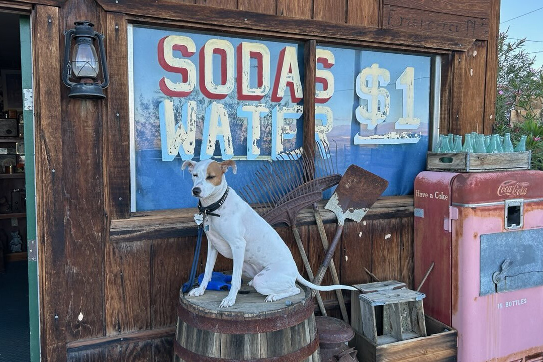Golden Cactus Ghost Town & Old West Museum-Olancha必去景点