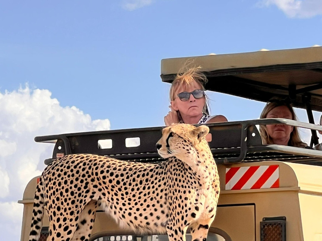 Tanzania-Experience-阿鲁沙必去景点