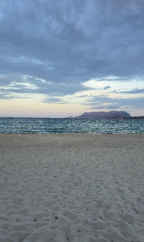 Spiaggia Pittulongu - La Playa-奥尔比亚必去景点
