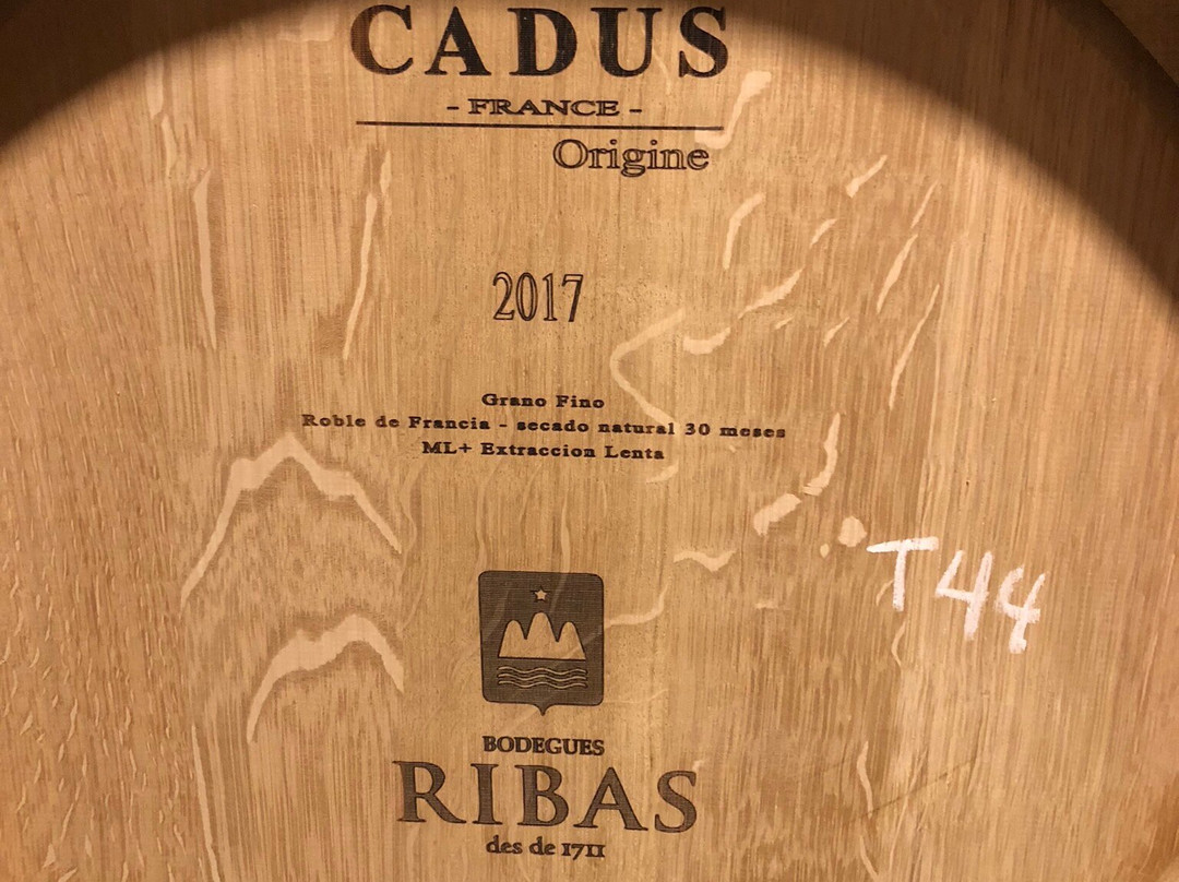 Bodega Ribas-Consell必去景点