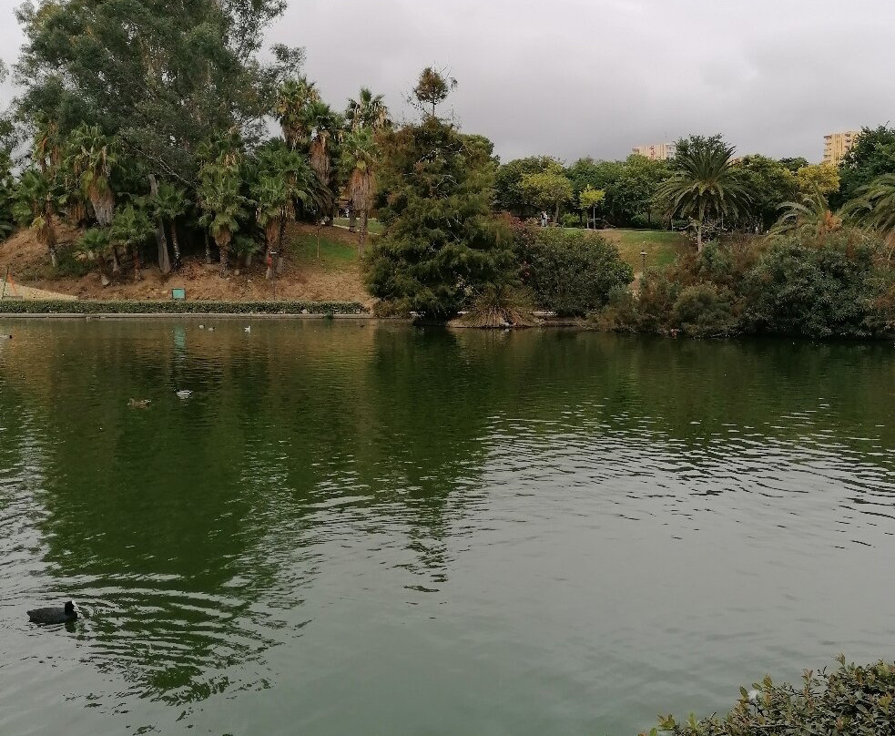 鸽子公园-班纳玛德纳必去景点