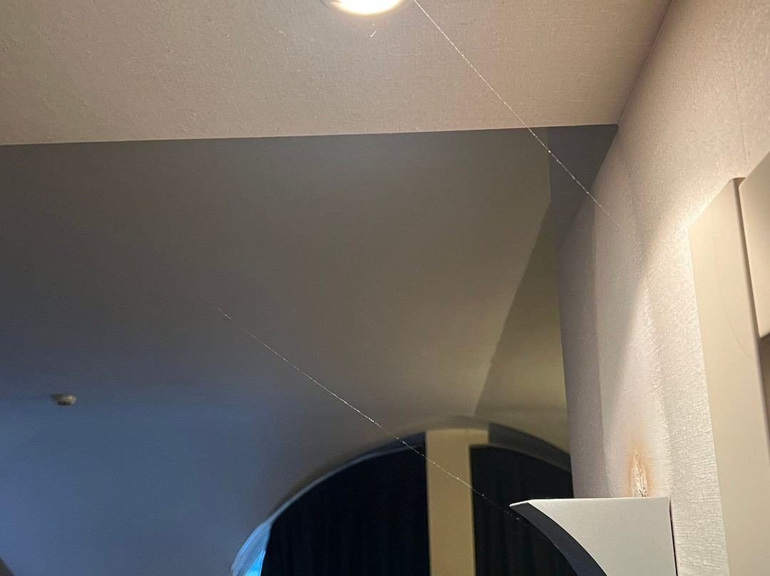 戴利菲雷酒店主图