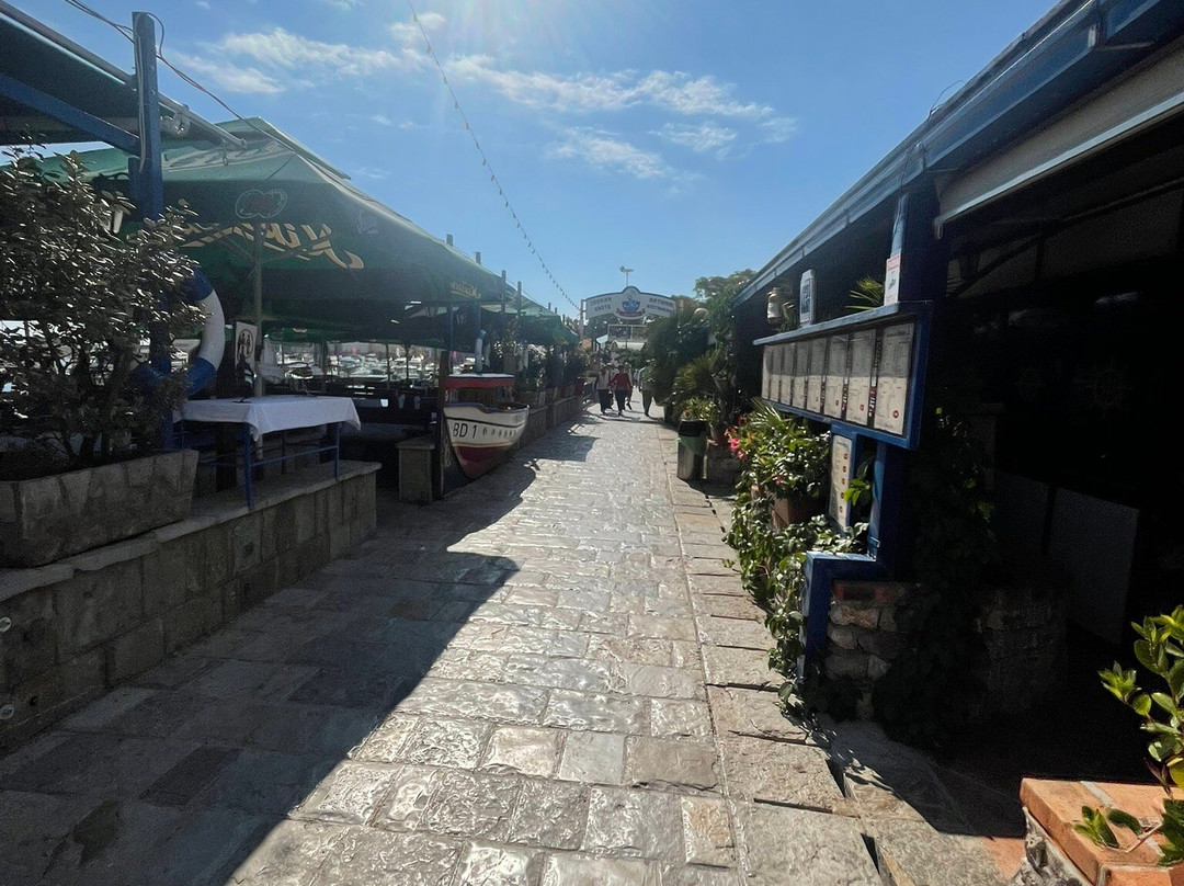 Dukley Marina-布德瓦必去景点