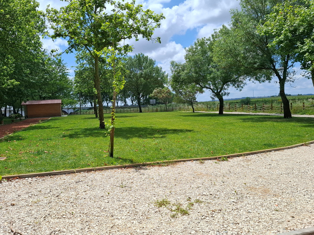 Parque do carril-Alpiarca必去景点