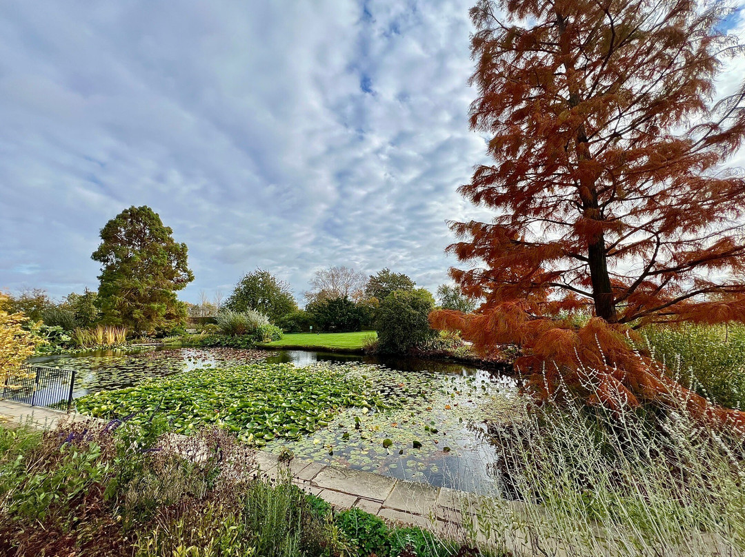 RHS Garden Hyde Hall-切姆斯福德必去景点