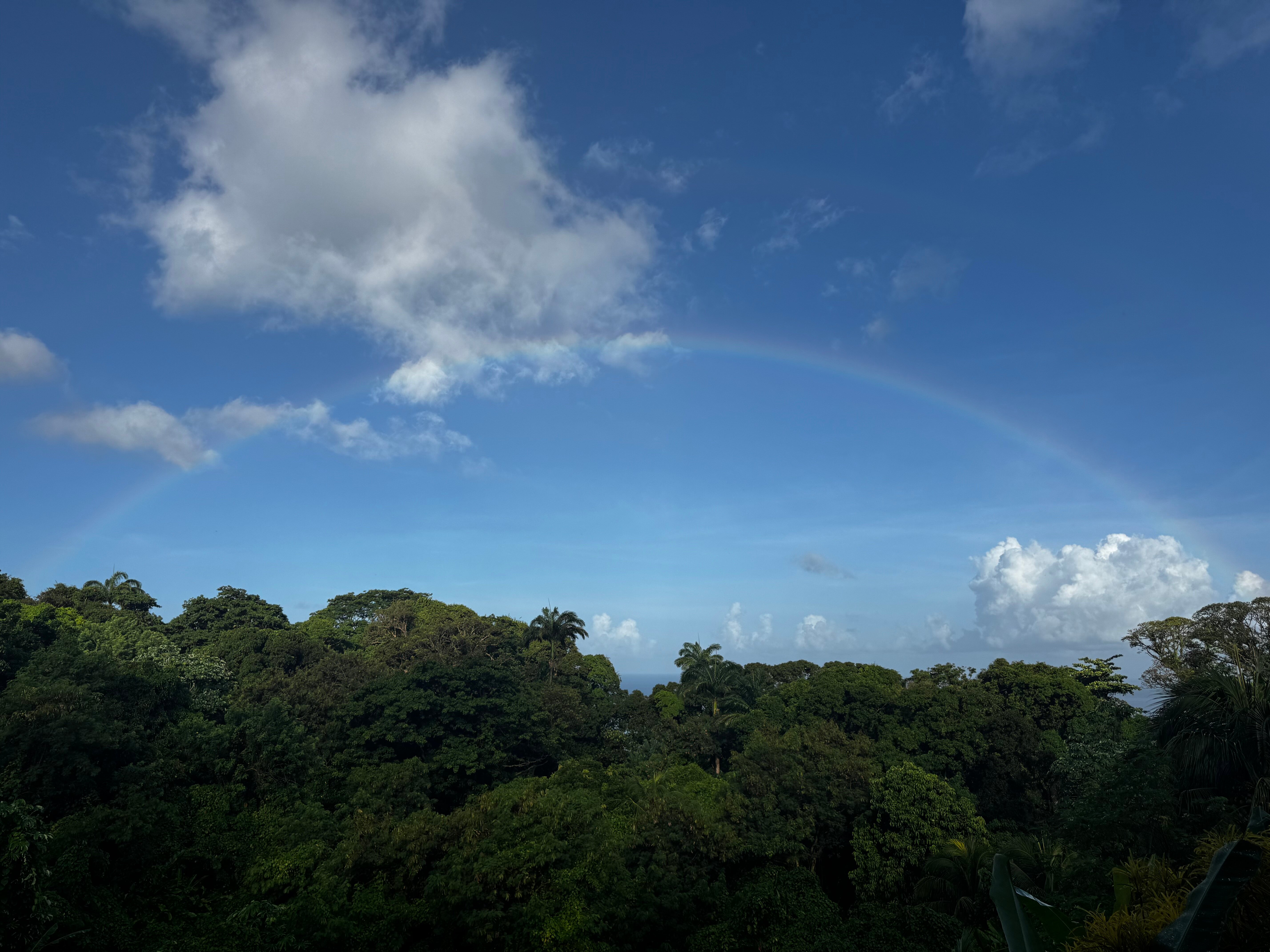 RNM The Clubhouse Grenada-官方
