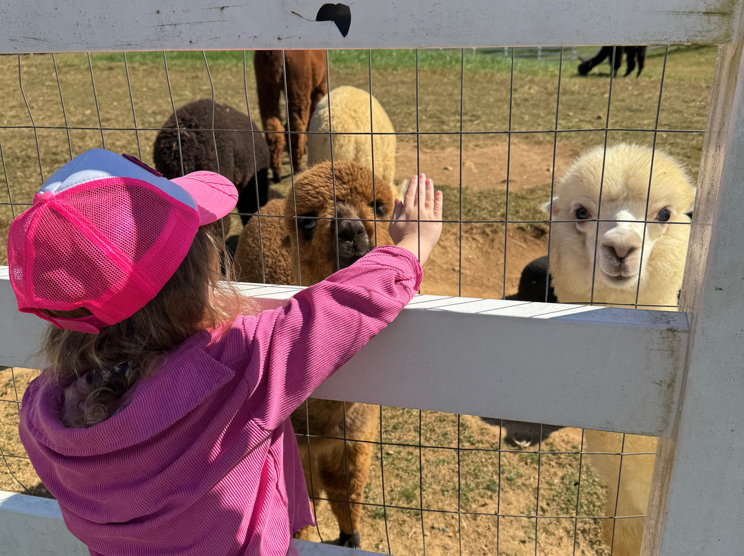 Winchester Creek Farm-韦恩斯维尔必去景点