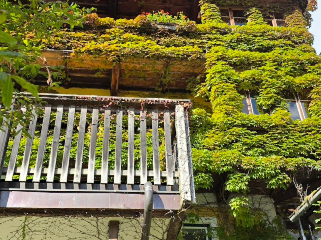 萨里斯特因旅馆主图