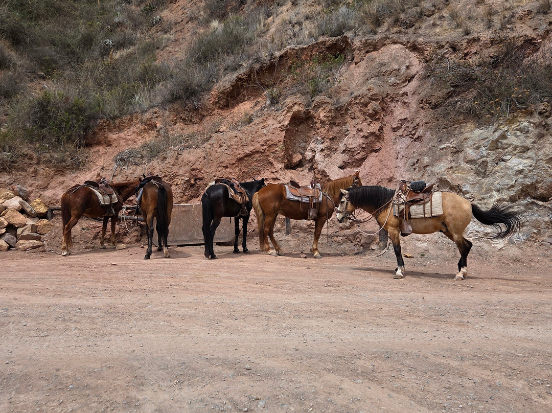 Salineras Ranch-乌鲁班巴必去景点