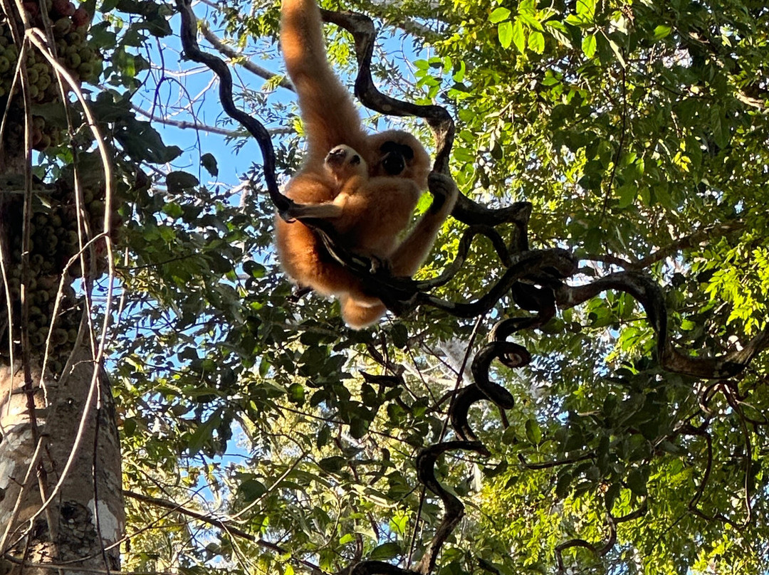 Vietnature Tour (cattien Wild Tour)-Tan Phu District必去景点