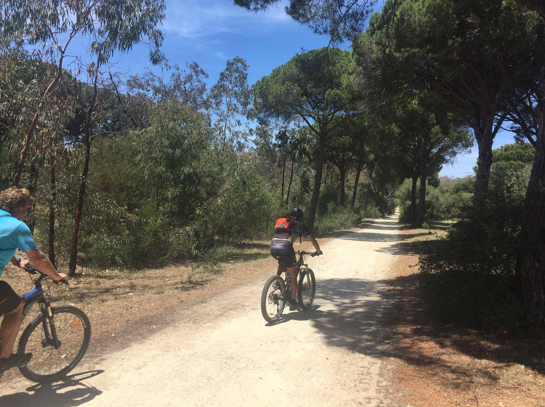 Pedrotours-贝赫尔－德拉弗龙特拉必去景点