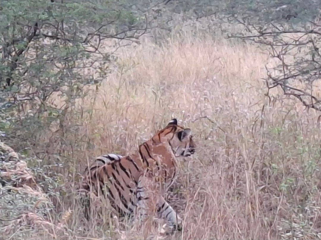 My Rajasthan Trip-斋蒲尔必去景点