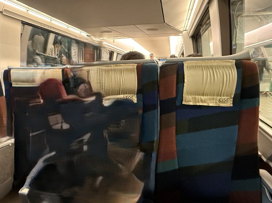 Odakyu Limited Express Romancecar-东京都必去景点