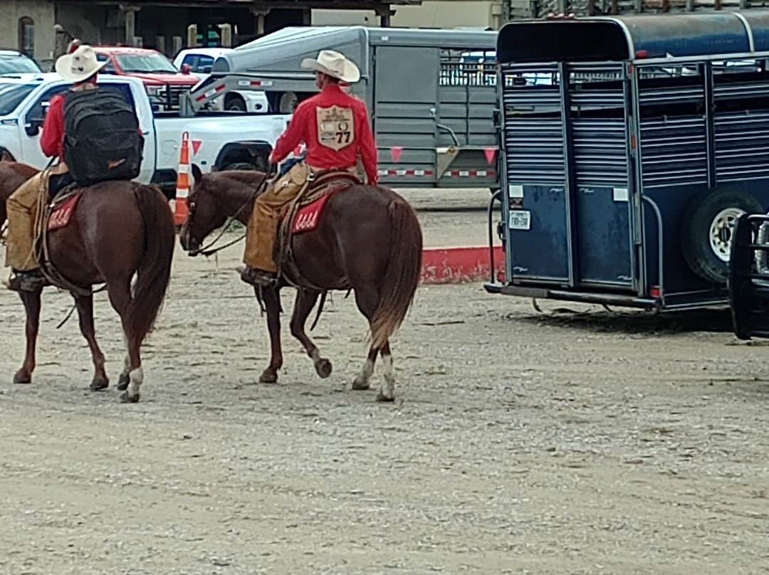 Fort Worth Stockyard Stables-沃思堡必去景点