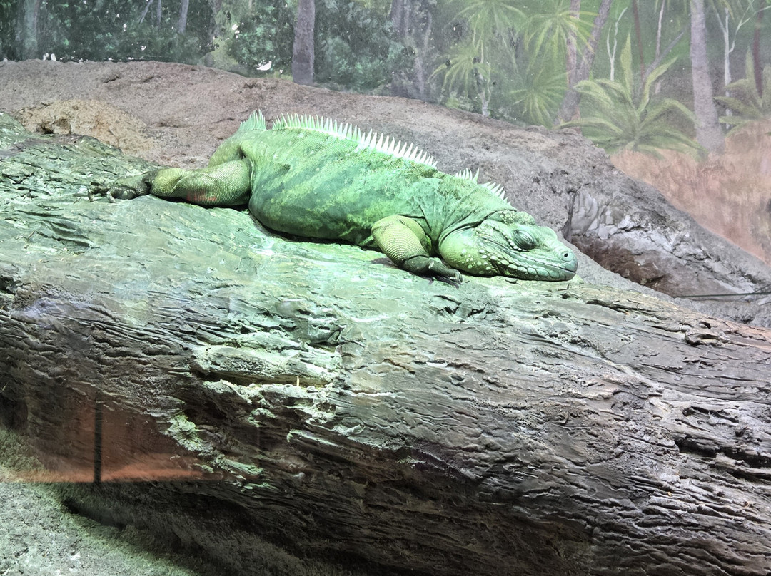 Milwaukee County Zoo-密尔沃基必去景点