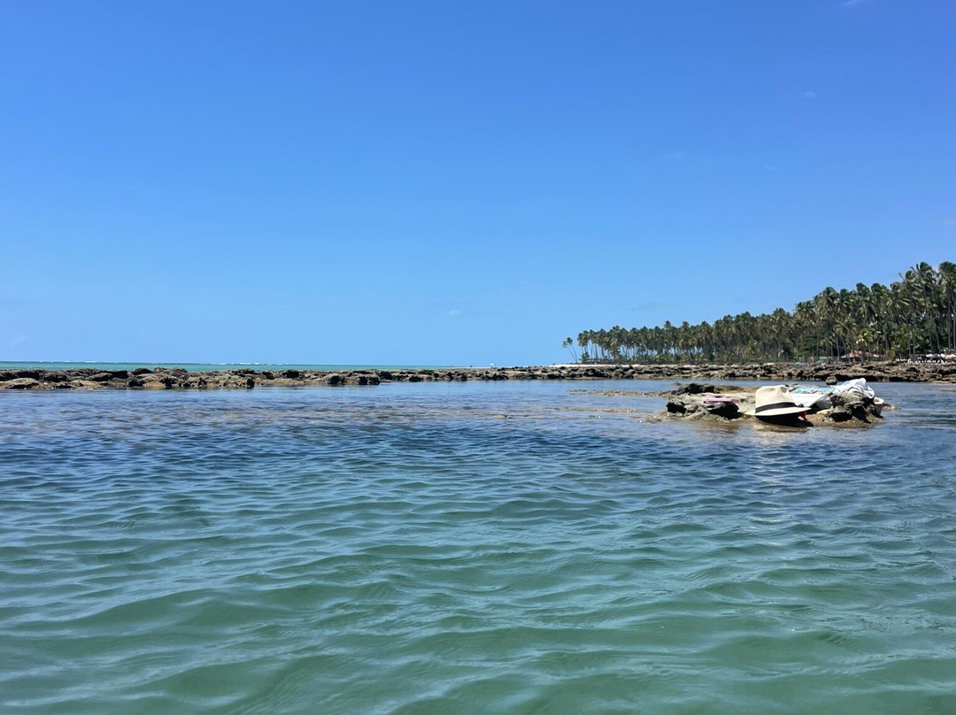 LM TRANSFER PORTO DE GALINHAS-嘎林海斯港必去景点