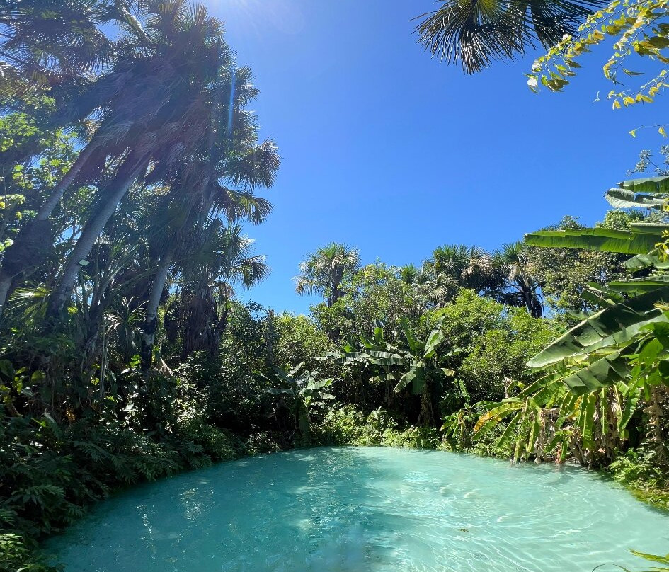 JalapaMax | Turismo-Palmas必去景点