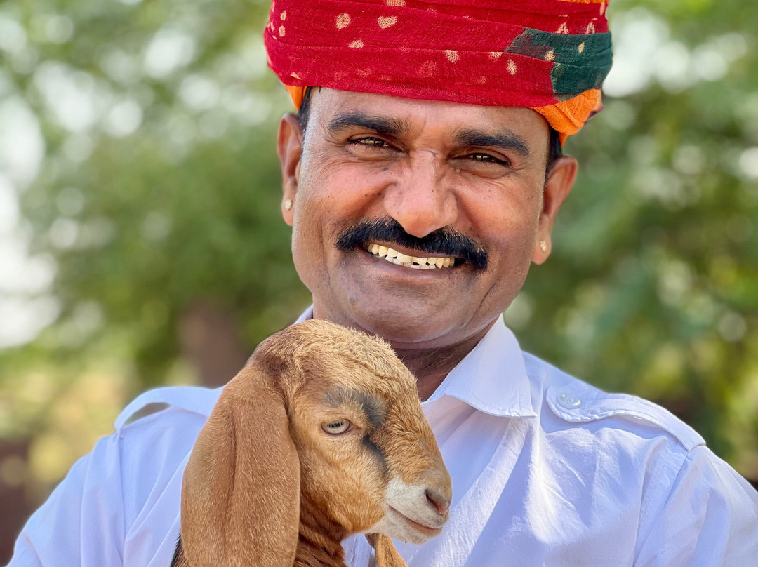 Driver India By Yogi Private Tours-焦特布尔必去景点