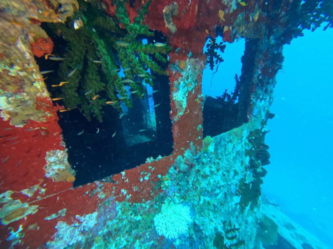 Aqua-Trek-太平洋港必去景点