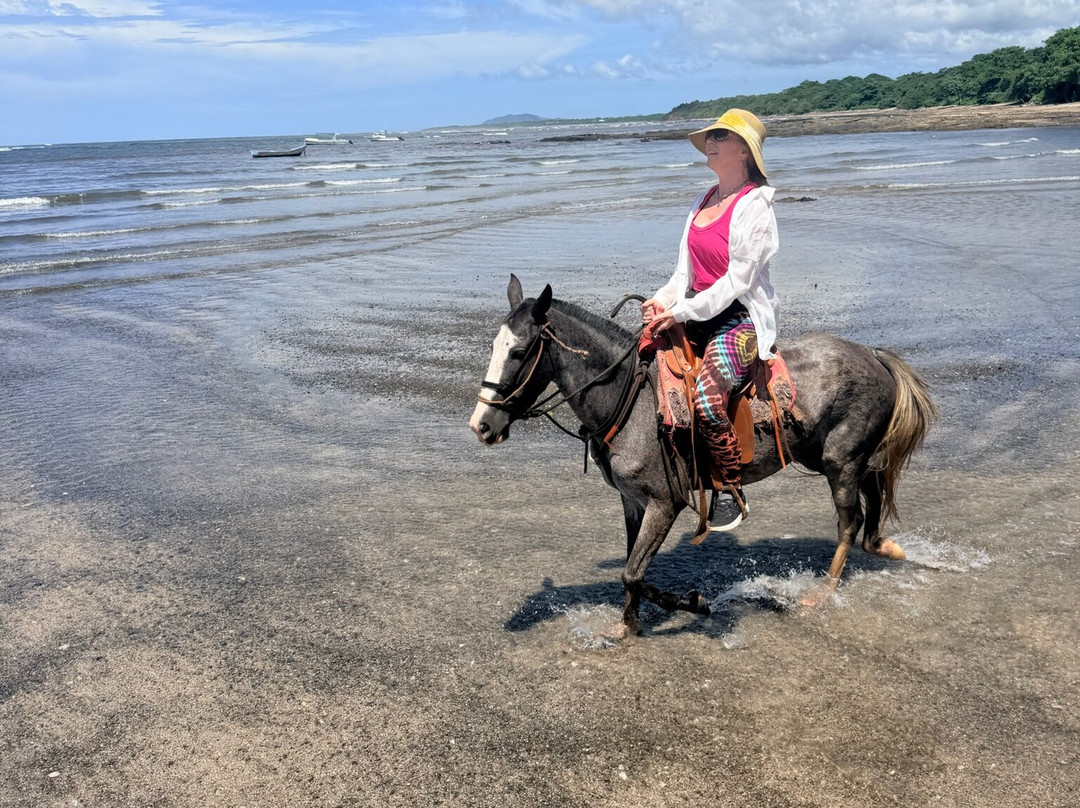 Guti Tours-Playa Avellanas必去景点