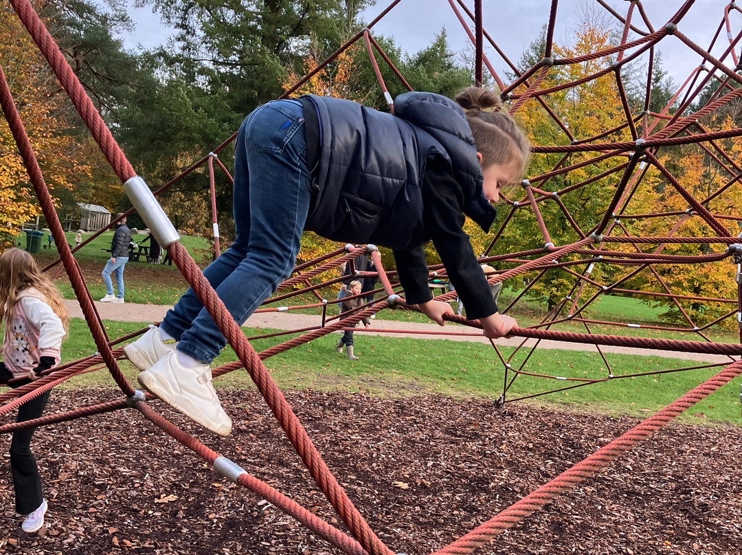 Apenheul-阿珀尔多伦必去景点