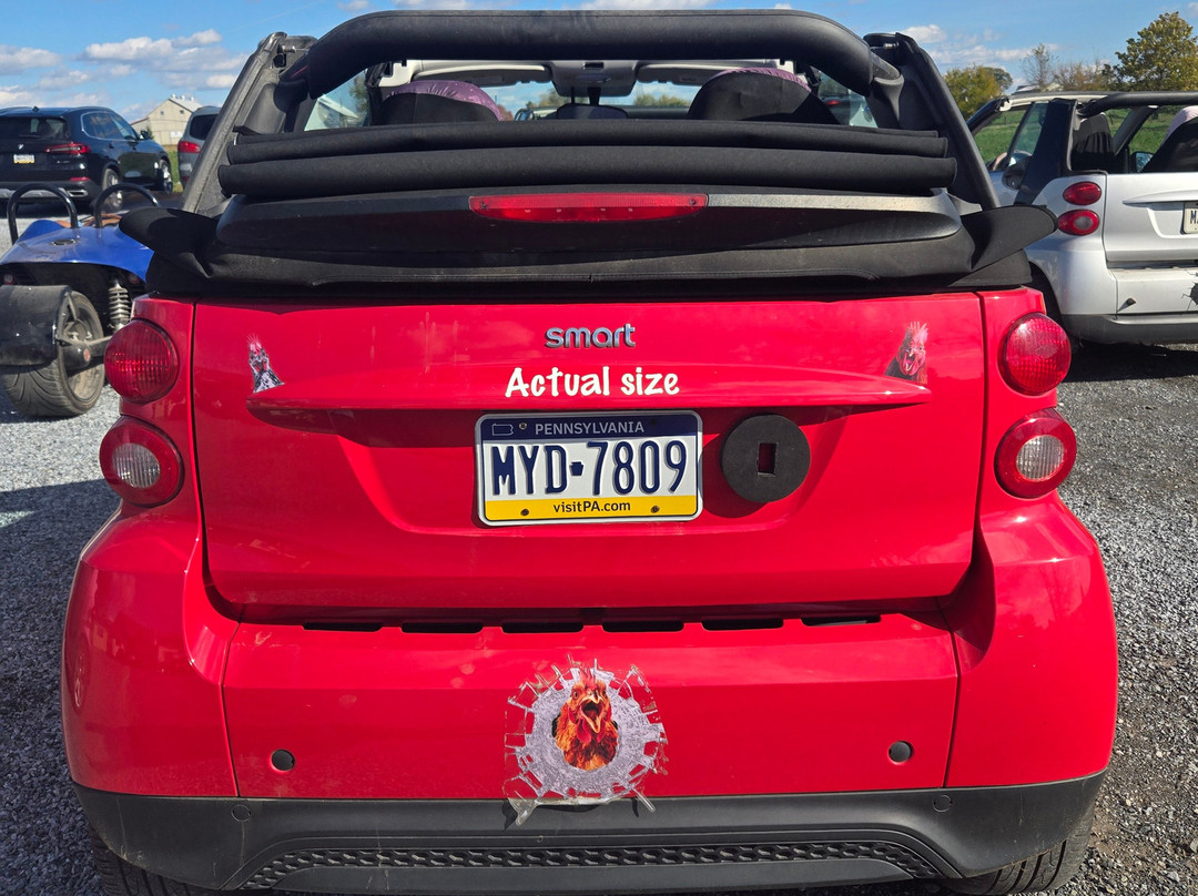 Strasburg Scooter Tours-Strasburg必去景点