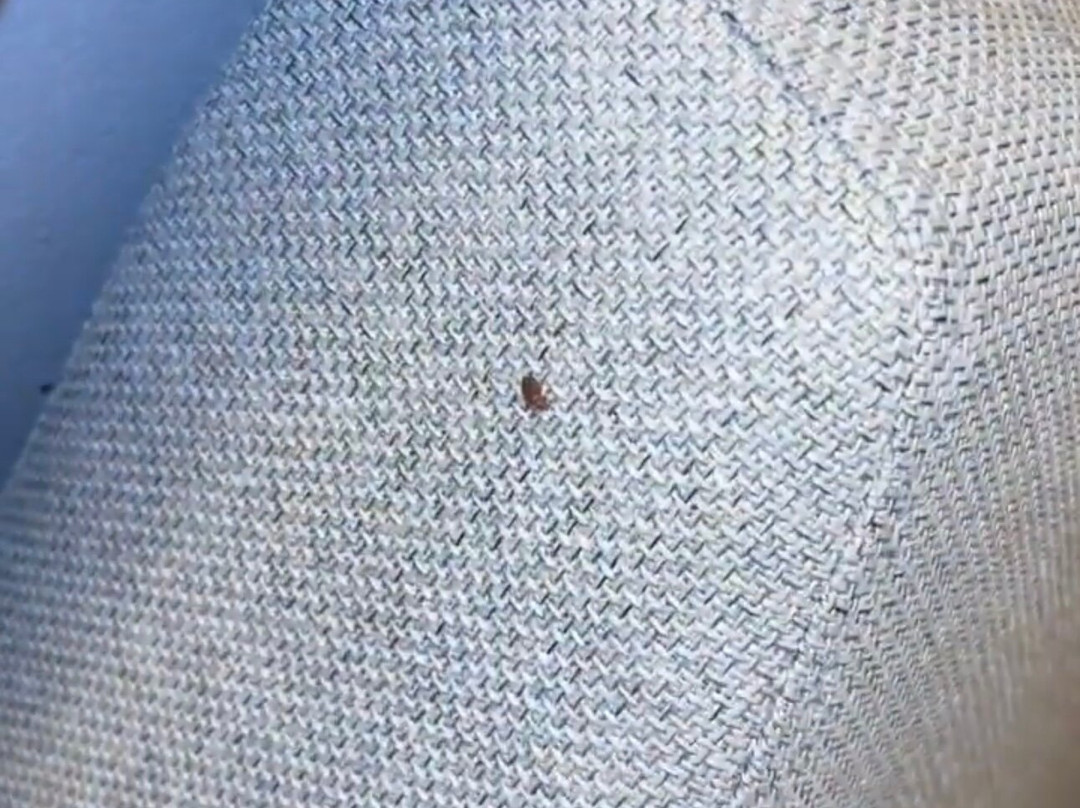 DoubleTree by Hilton Lubbock University Area主图