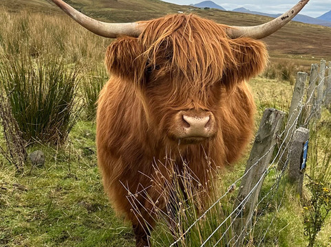 Edinburgh Cab Tours-爱丁堡必去景点