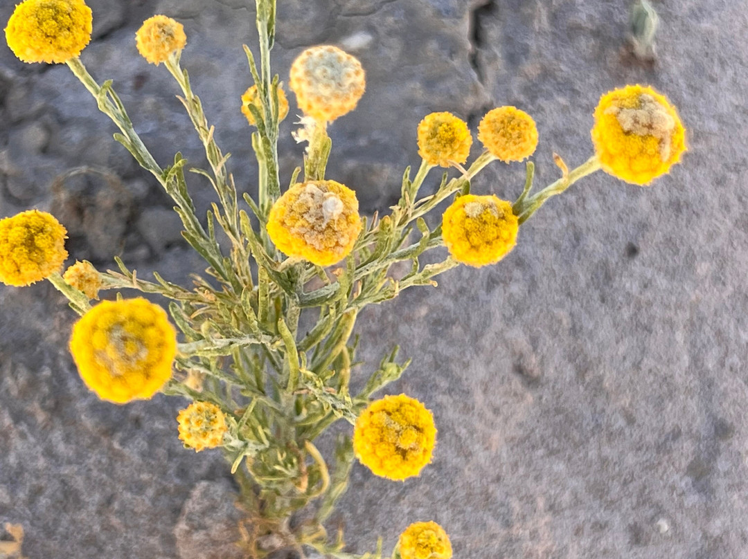 Air Adventure Australia-墨尔本必去景点